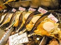 Fresh shell fish at the Tsukiji Fish Market in Tokyo