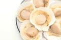fresh shell scallop Royalty Free Stock Photo