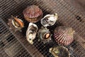 Fresh shellfish barbecue - Oyster and scallop grill Royalty Free Stock Photo