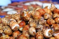 Fresh shellfish at the market Royalty Free Stock Photo