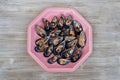 Fresh shellfish on pink plate Royalty Free Stock Photo