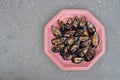 Fresh shellfish on pink plate Royalty Free Stock Photo