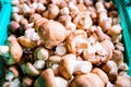 Fresh Shiitake Mushroom in Basket Royalty Free Stock Photo