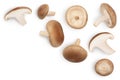 Fresh Shiitake mushroom isolated on white background with clipping path. Top view with copy space for your text. Flat Royalty Free Stock Photo