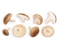 Fresh Shiitake mushroom isolated on white background with clipping path. Top view with copy space for your text. Flat Royalty Free Stock Photo