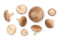 Fresh Shiitake mushroom isolated on white background with clipping path. Top view. Flat lay Royalty Free Stock Photo