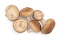 Fresh Shiitake mushroom isolated on white background with clipping path. Top view. Flat lay Royalty Free Stock Photo