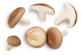 Fresh Shiitake mushroom isolated on white background with clipping path. Top view. Flat lay Royalty Free Stock Photo