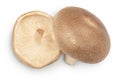 Fresh Shiitake mushroom isolated on white background with clipping path. Top view. Flat lay Royalty Free Stock Photo