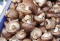 Fresh shiitake mushroom Royalty Free Stock Photo