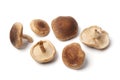 Fresh shiitake mushrooms Royalty Free Stock Photo