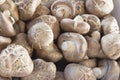 Fresh Shiitake Mushrooms Closeup Royalty Free Stock Photo