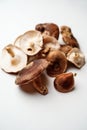 Fresh shiitake mushrooms Royalty Free Stock Photo