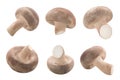 Fresh Shiitake mushrooms (Lentinula edodes)  isolated Royalty Free Stock Photo