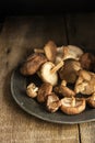 Fresh shiitake mushrooms in moody natural light setting with vintage retro style Royalty Free Stock Photo