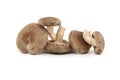 Fresh shiitake mushrooms over white background Royalty Free Stock Photo