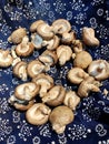 Fresh shiitake mushrooms / vegetables / food Royalty Free Stock Photo