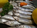 Fresh Shishamo fish Royalty Free Stock Photo