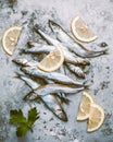 Fresh Shishamo fish with lemon slices laying on a shabby metal background. Royalty Free Stock Photo