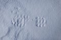 Fresh shoeprints in the snow