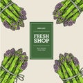 Fresh shop and market template. Poster with colored hand drawn asparagus bunches. Royalty Free Stock Photo