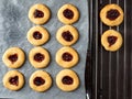 Fresh shortbread cookies with fruit filling. Royalty Free Stock Photo