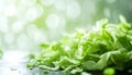 Fresh shredded cabbage on a light table, closed Royalty Free Stock Photo