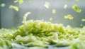 Fresh shredded cabbage on a light table, closup Royalty Free Stock Photo