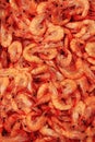 Fresh shrimp Royalty Free Stock Photo