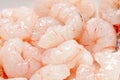 Fresh Shrimp Royalty Free Stock Photo