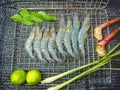 Fresh shrimp arranged on a stainless steel grill. With kaffir lime leaves, lemongrass, lime, galangal.