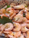 Fresh shrimp boiled with spices rest in a colander Royalty Free Stock Photo