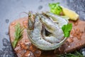 Fresh shrimp on bowl and wooden cutting board with rosemary ingredients herb and spices for cooking seafood - raw shrimps prawns Royalty Free Stock Photo