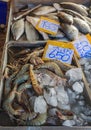 Fresh shrimp and fish at the market in Thailand Royalty Free Stock Photo