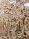 The fresh shrimp from hypermart