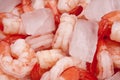 Fresh Shrimp on Ice Royalty Free Stock Photo