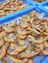 Fresh shrimp on ice Royalty Free Stock Photo