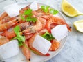 Fresh shrimp, ice, mediterranean food plate ingredient lemon on a gray concrete background Royalty Free Stock Photo