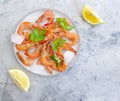 Fresh shrimp, ice, mediterranean ingredient lemon on a gray concrete background Royalty Free Stock Photo
