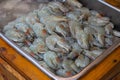 Fresh shrimp on Ice in the market Thailand Royalty Free Stock Photo