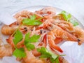 Fresh shrimp ice parsley on a plate gourmet Royalty Free Stock Photo