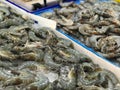 Fresh shrimp on ice in seafood market. Shallow depth of field. Royalty Free Stock Photo