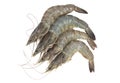 Fresh shrimp isolated on white background. with clipping path Royalty Free Stock Photo