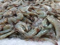 Fresh shrimp in market.