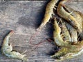 Fresh shrimp on wooden table