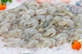 Fresh Shrimp or Prawn on Ice seafood market Royalty Free Stock Photo