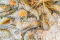 Fresh Shrimp or Prawn on Ice for selling at seafood market Royalty Free Stock Photo