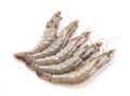 fresh shrimp/prawn Royalty Free Stock Photo