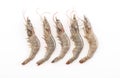 fresh shrimp/prawn Royalty Free Stock Photo