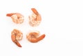 fresh shrimp/prawn Royalty Free Stock Photo